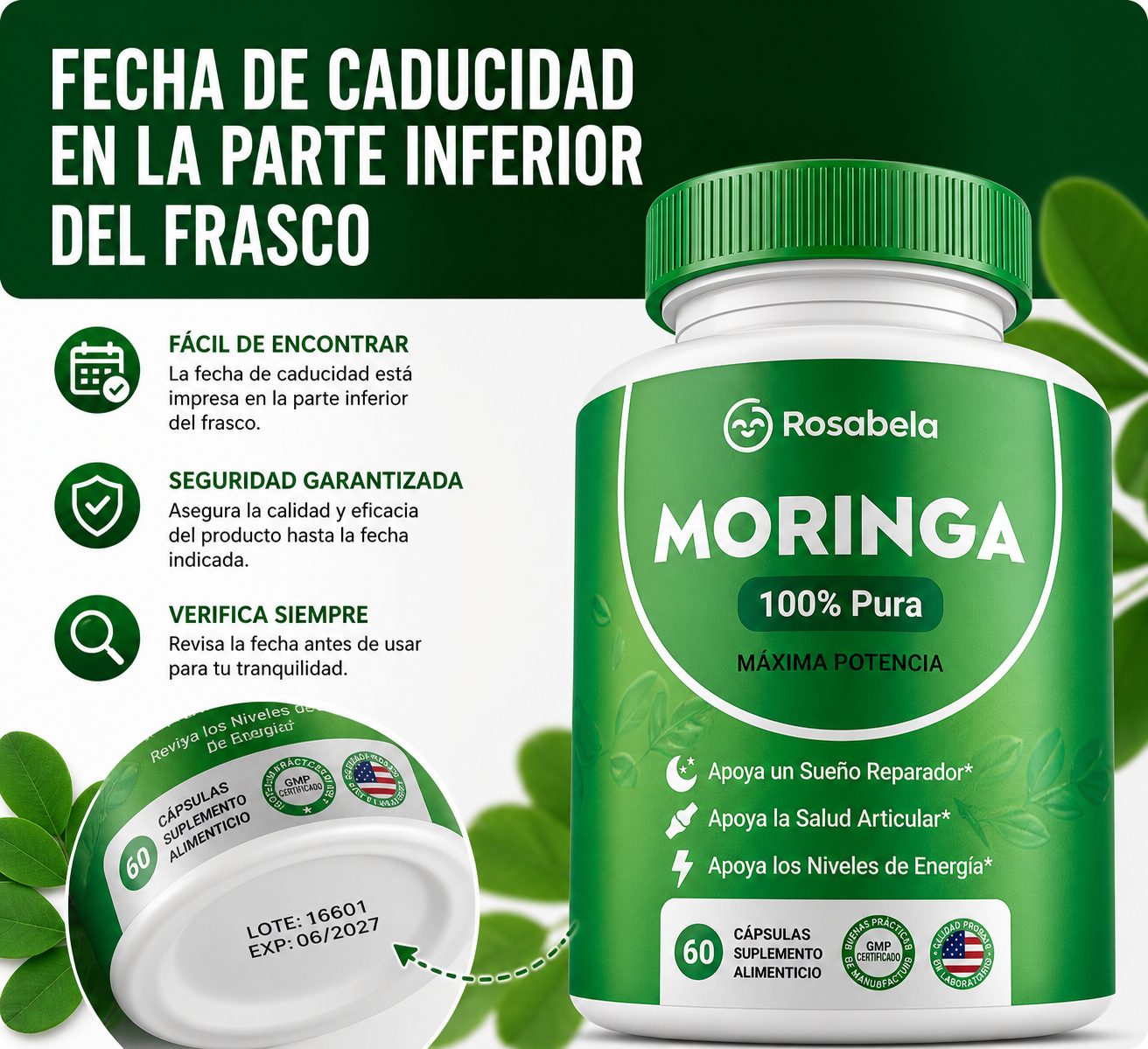 Moringa 100% pura en cápsulas – energía y bienestar natural (60 cápsulas)