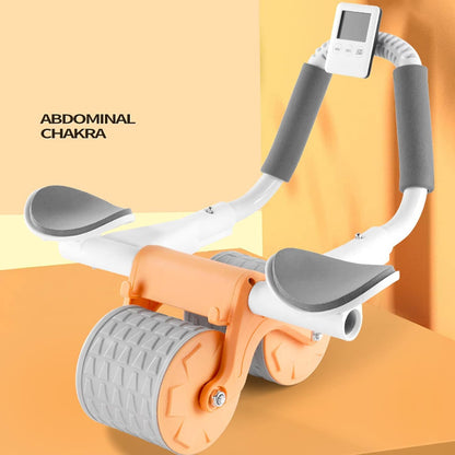 Rueda Abdominal Profesional con Soporte